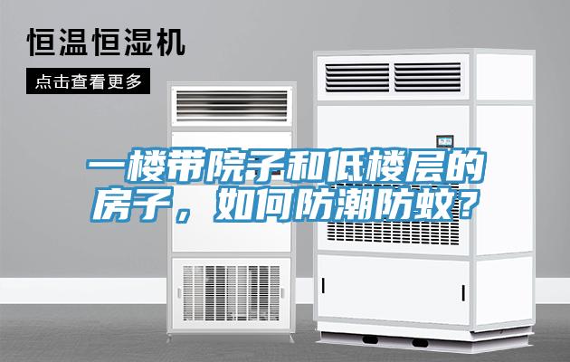 一樓帶院子和低樓層的房子，如何防潮防蚊？