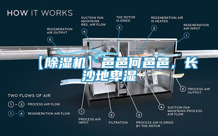 【除濕機】邑邑何邑邑，長沙地卑濕