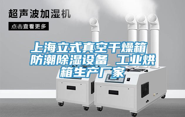 上海立式真空干燥箱 防潮除濕設備 工業(yè)烘箱生產廠家