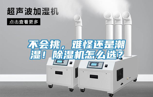 不會挑，難怪還是潮濕！除濕機怎么選？