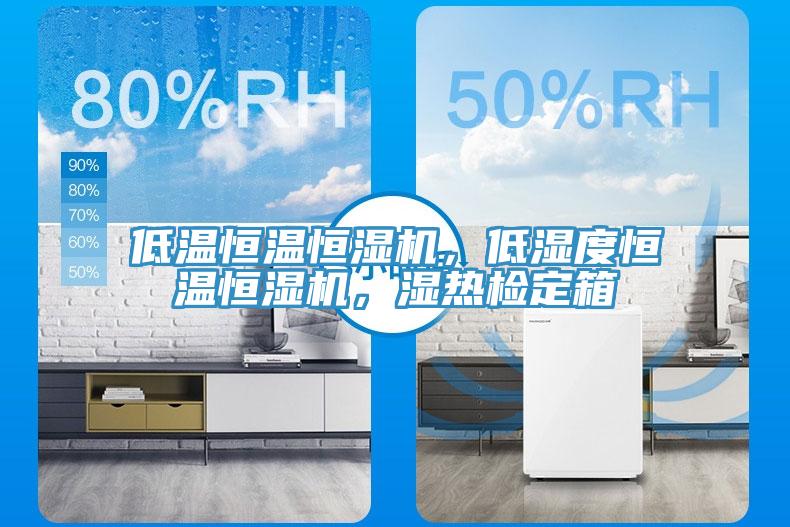 低溫恒溫恒濕機，低濕度恒溫恒濕機，濕熱檢定箱