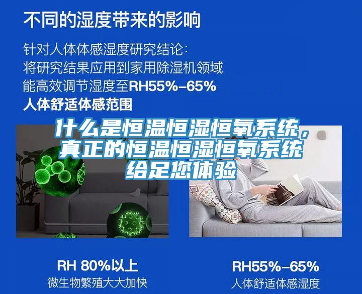 什么是恒溫恒濕恒氧系統(tǒng)，真正的恒溫恒濕恒氧系統(tǒng)給足您體驗(yàn)