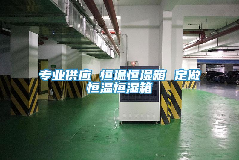 專(zhuān)業(yè)供應(yīng) 恒溫恒濕箱 定做恒溫恒濕箱