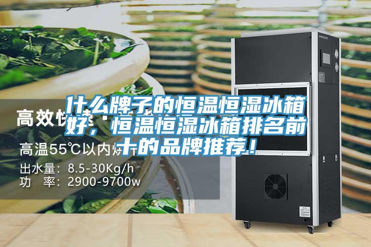 什么牌子的恒溫恒濕冰箱好，恒溫恒濕冰箱排名前十的品牌推薦！