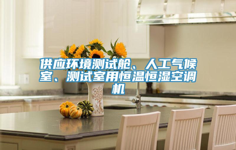 供應(yīng)環(huán)境測(cè)試艙、人工氣候室、測(cè)試室用恒溫恒濕空調(diào)機(jī)