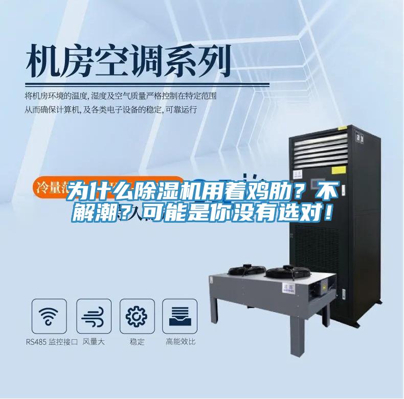 為什么除濕機(jī)用著雞肋？不解潮？可能是你沒有選對(duì)！