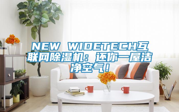 NEW WIDETECH互聯(lián)網(wǎng)除濕機(jī)：還你一屋潔凈空氣！