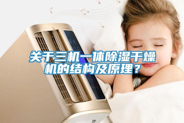 關(guān)于三機(jī)一體除濕干燥機(jī)的結(jié)構(gòu)及原理？