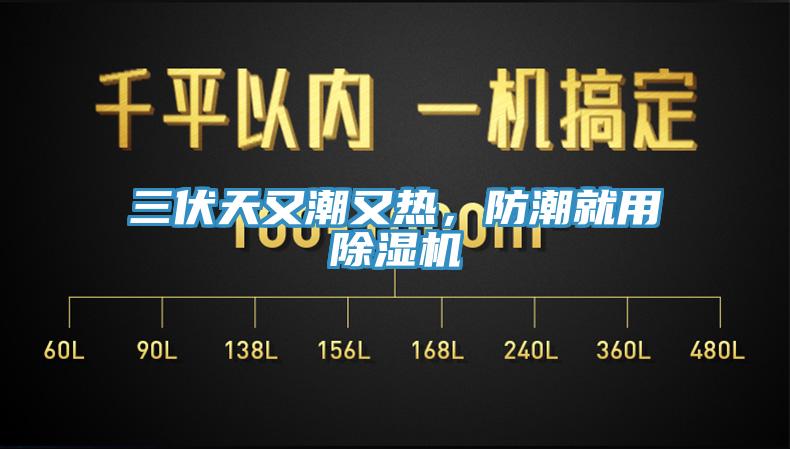 三伏天又潮又熱，防潮就用除濕機