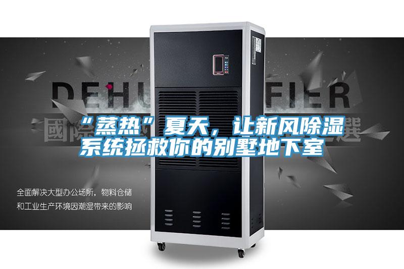 “蒸熱”夏天，讓新風(fēng)除濕系統(tǒng)拯救你的別墅地下室