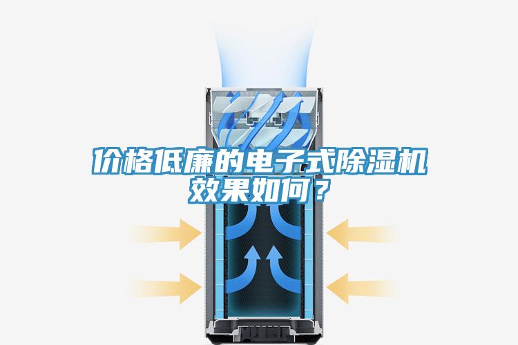 價格低廉的電子式除濕機效果如何？
