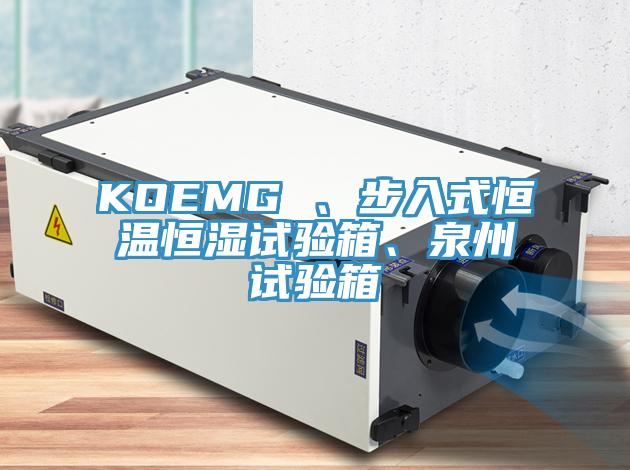 KOEMG 、步入式恒溫恒濕試驗箱、泉州試驗箱