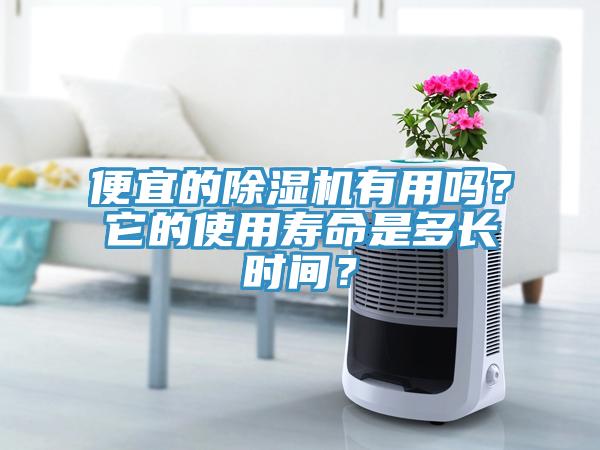 便宜的除濕機有用嗎？它的使用壽命是多長時間？