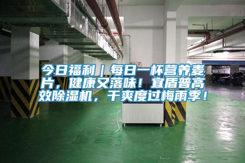 今日福利｜每日一杯營(yíng)養(yǎng)麥片，健康又落味！宜盾普高效除濕機(jī)，干爽度過梅雨季！