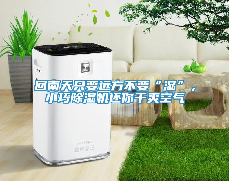 回南天只要遠方不要“濕”，小巧除濕機還你干爽空氣