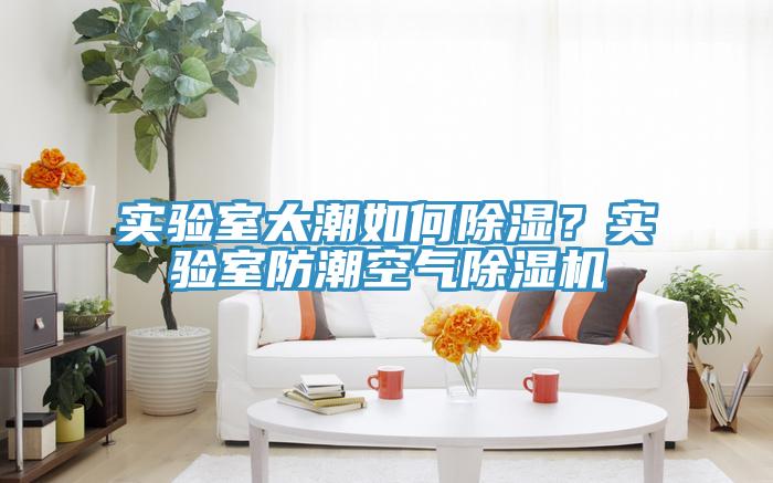 實驗室太潮如何除濕？實驗室防潮空氣除濕機