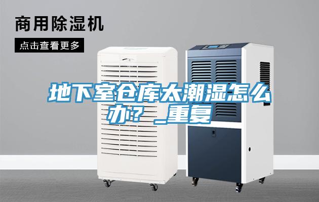 地下室倉(cāng)庫(kù)太潮濕怎么辦？_重復(fù)