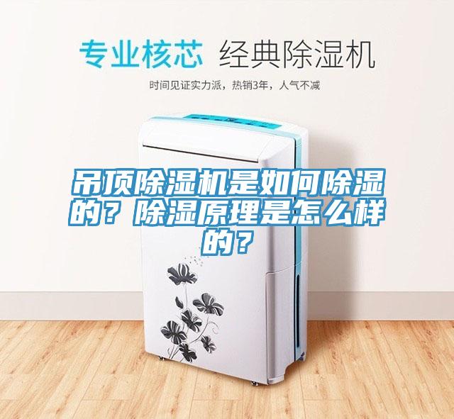 吊頂除濕機(jī)是如何除濕的？除濕原理是怎么樣的？