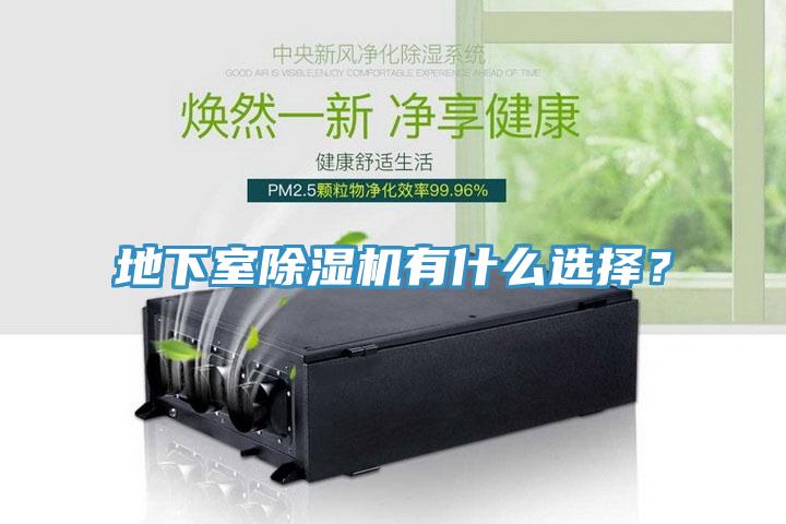 地下室除濕機有什么選擇？