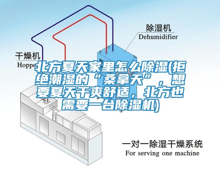 北方夏天家里怎么除濕(拒絕潮濕的“桑拿天”，想要夏天干爽舒適，北方也需要一臺除濕機(jī))