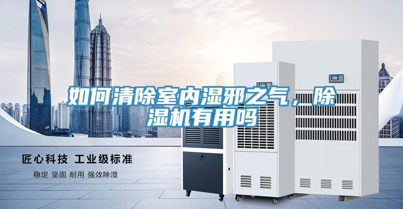 如何清除室內(nèi)濕邪之氣，除濕機(jī)有用嗎