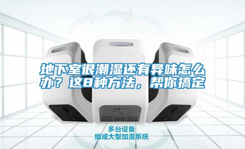 地下室很潮濕還有異味怎么辦？這8種方法，幫你搞定