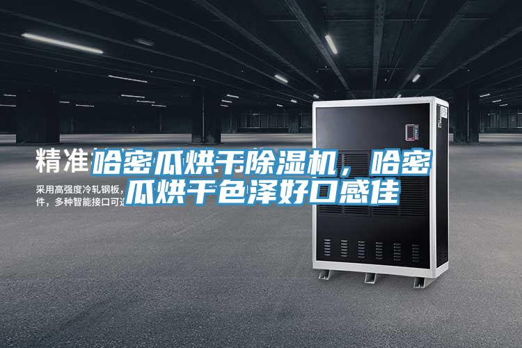 哈密瓜烘干除濕機(jī)，哈密瓜烘干色澤好口感佳