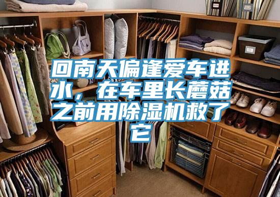 回南天偏逢愛車進水，在車里長蘑菇之前用除濕機救了它