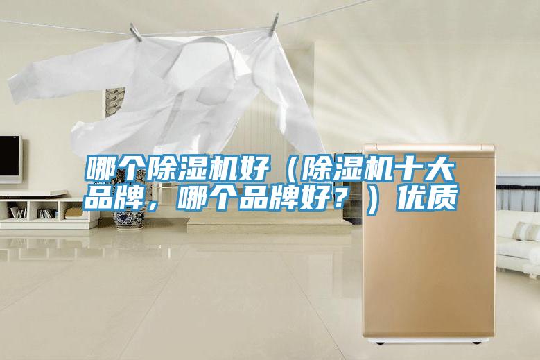 哪個(gè)除濕機(jī)好（除濕機(jī)十大品牌，哪個(gè)品牌好？）優(yōu)質(zhì)