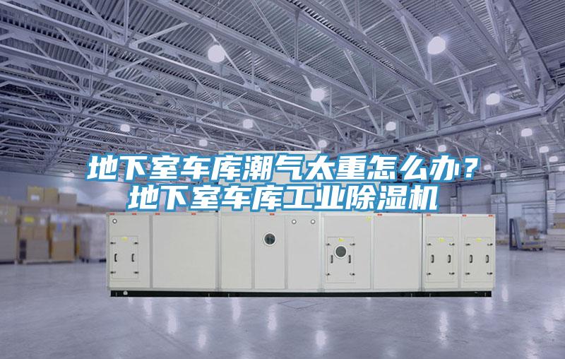 地下室車庫潮氣太重怎么辦？地下室車庫工業(yè)除濕機