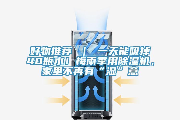 好物推薦 ｜ 一天能吸掉40瓶水！梅雨季用除濕機，家里不再有“濕”意