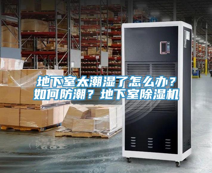 地下室太潮濕了怎么辦？如何防潮？地下室除濕機