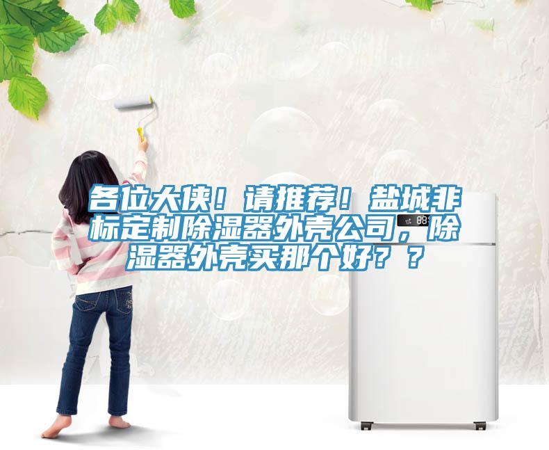 各位大俠！請推薦！鹽城非標(biāo)定制除濕器外殼公司，除濕器外殼買那個好？？