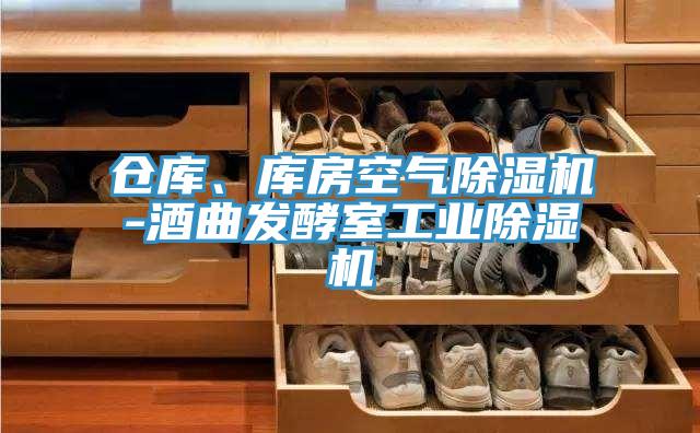 倉庫、庫房空氣除濕機-酒曲發(fā)酵室工業(yè)除濕機