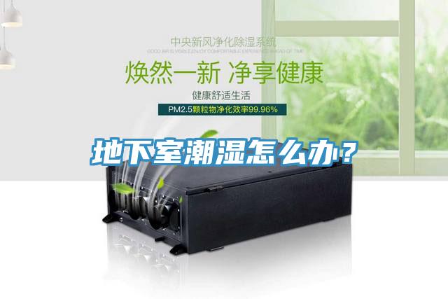 地下室潮濕怎么辦？
