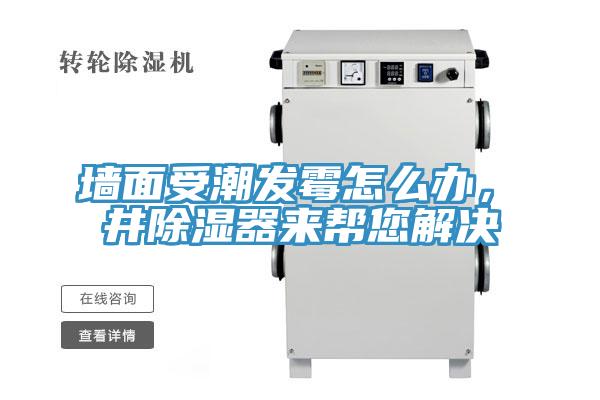 墻面受潮發(fā)霉怎么辦，東井除濕器來(lái)幫您解決