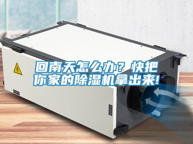回南天怎么辦？快把你家的除濕機拿出來!