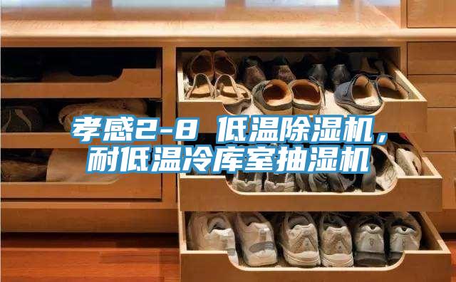 孝感2-8℃低溫除濕機(jī)，耐低溫冷庫室抽濕機(jī)