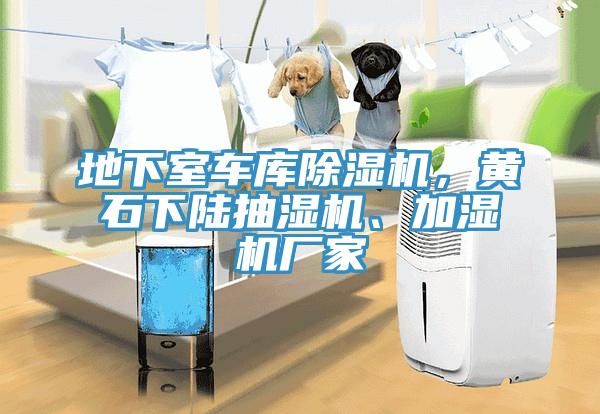 地下室車庫除濕機，黃石下陸抽濕機、加濕機廠家