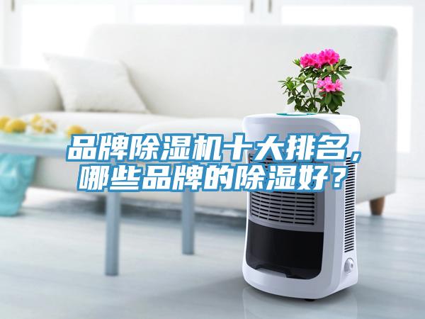 品牌除濕機十大排名，哪些品牌的除濕好？