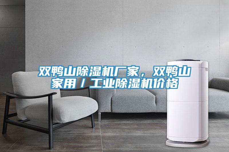 雙鴨山除濕機廠家，雙鴨山家用／工業(yè)除濕機價格