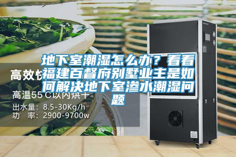 地下室潮濕怎么辦？看看福建百督府別墅業(yè)主是如何解決地下室滲水潮濕問題
