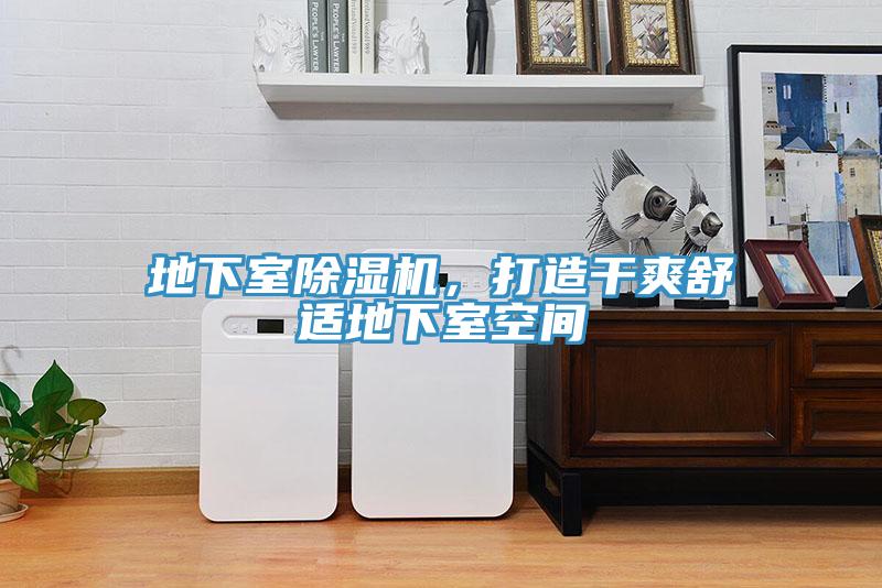 地下室除濕機，打造干爽舒適地下室空間