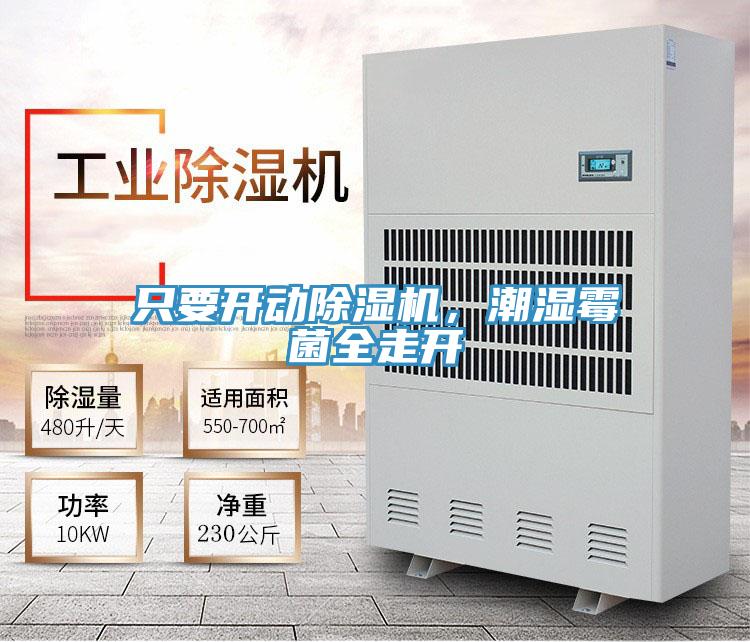 只要開動除濕機，潮濕霉菌全走開