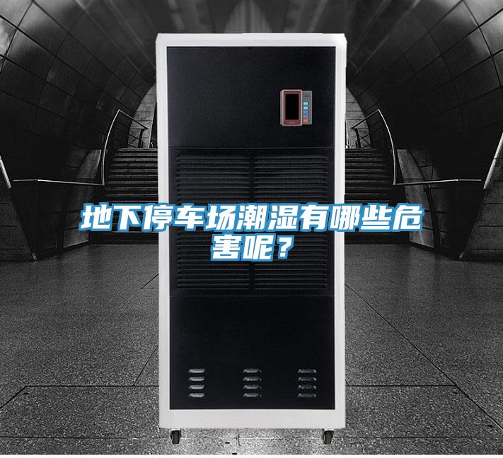 地下停車場(chǎng)潮濕有哪些危害呢？