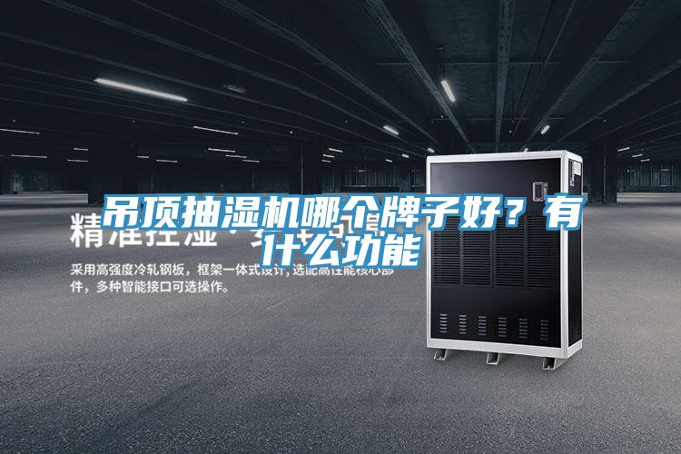 吊頂抽濕機(jī)哪個(gè)牌子好？有什么功能