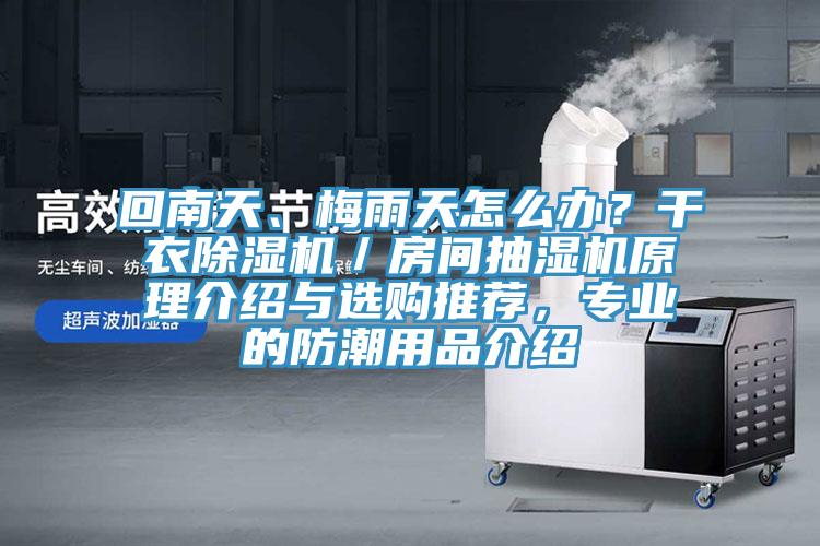 回南天、梅雨天怎么辦？干衣除濕機／房間抽濕機原理介紹與選購?fù)扑]，專業(yè)的防潮用品介紹