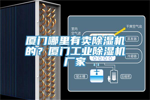 廈門哪里有賣除濕機(jī)的？廈門工業(yè)除濕機(jī)廠家