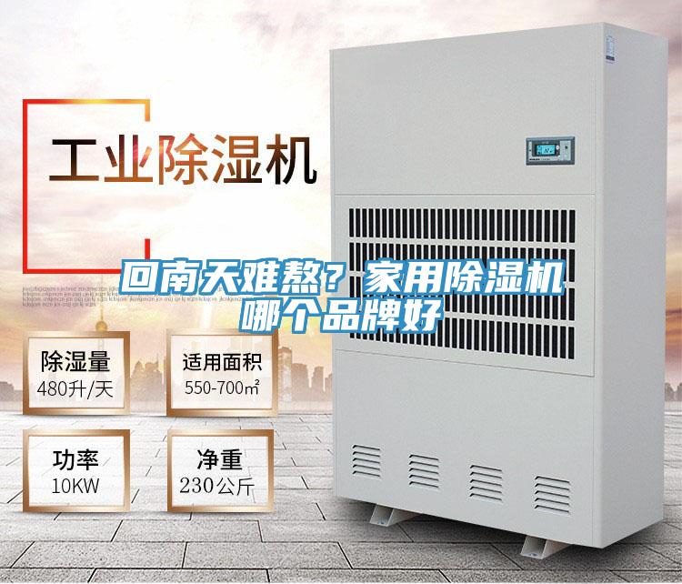回南天難熬？家用除濕機(jī)哪個(gè)品牌好