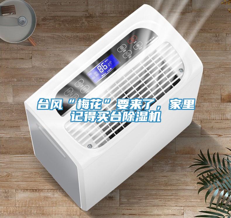 臺風(fēng)“梅花”要來了，家里記得買臺除濕機(jī)